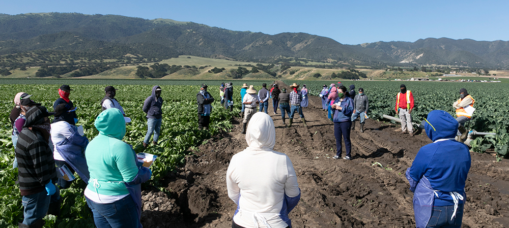 Group of people standing in a field